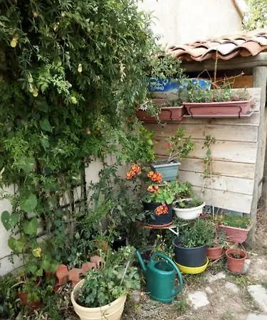 Plein Luberon Gospodarstwo agroturystyczne Céreste